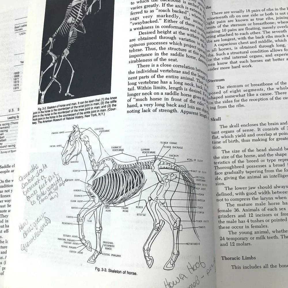 Horses And Horsemanship Book‎ By Ensminger Animal Agriculture Series 5th edition